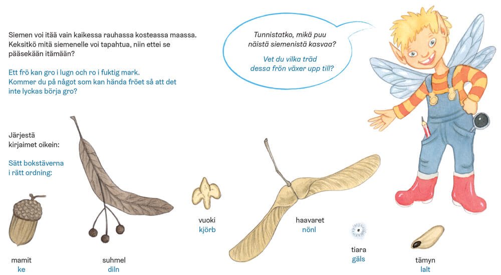Ved du vilka träd dessa frön växer upp till?