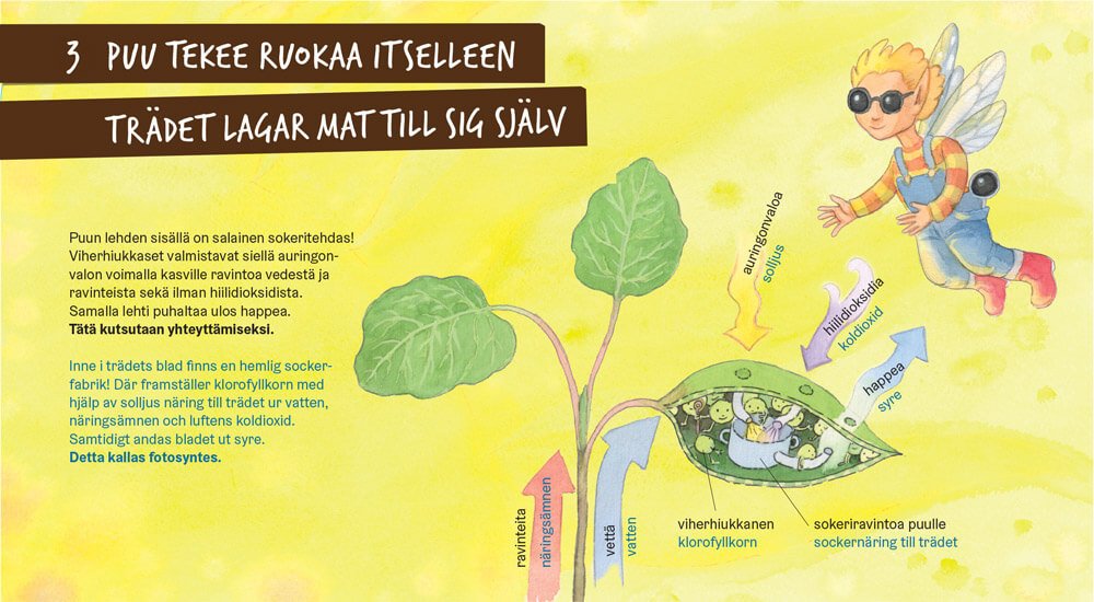 Trädet lagar mat till sig själv