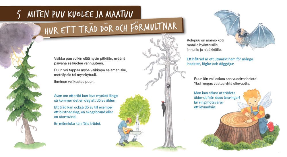 Hur ett träd dör och förmultnar